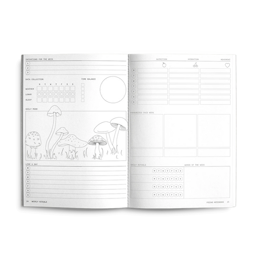 Creator's Friend Weekly Rituals Planner